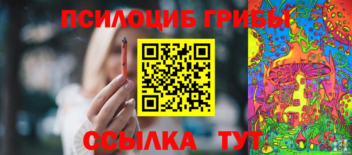 Псилоцибиновые грибы прущие грибы Кстово